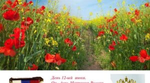Публикация от 12.06.2022
